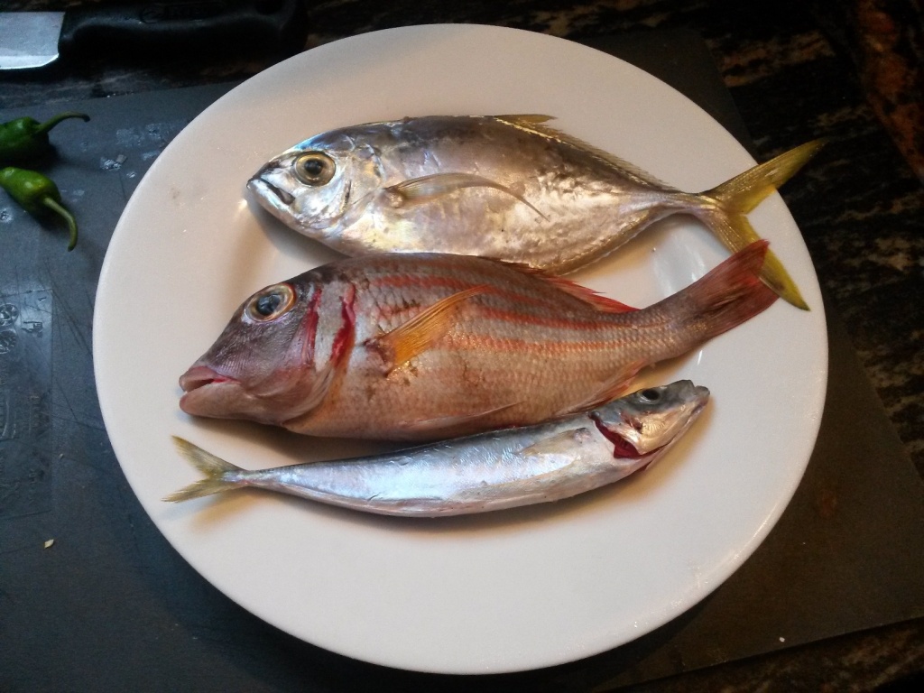Three fishes from the fishermen on the beach in front of the house - 250 rupees