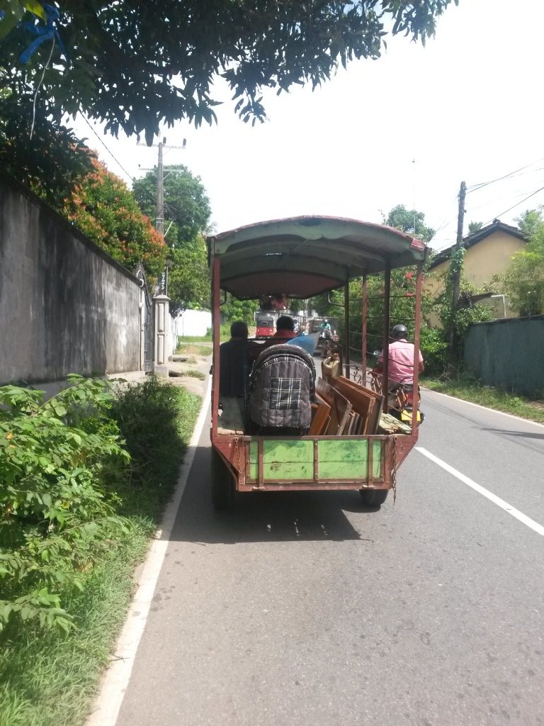 All kinds of transportations we saw on our journeys