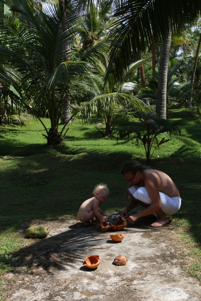 Coconut inspection