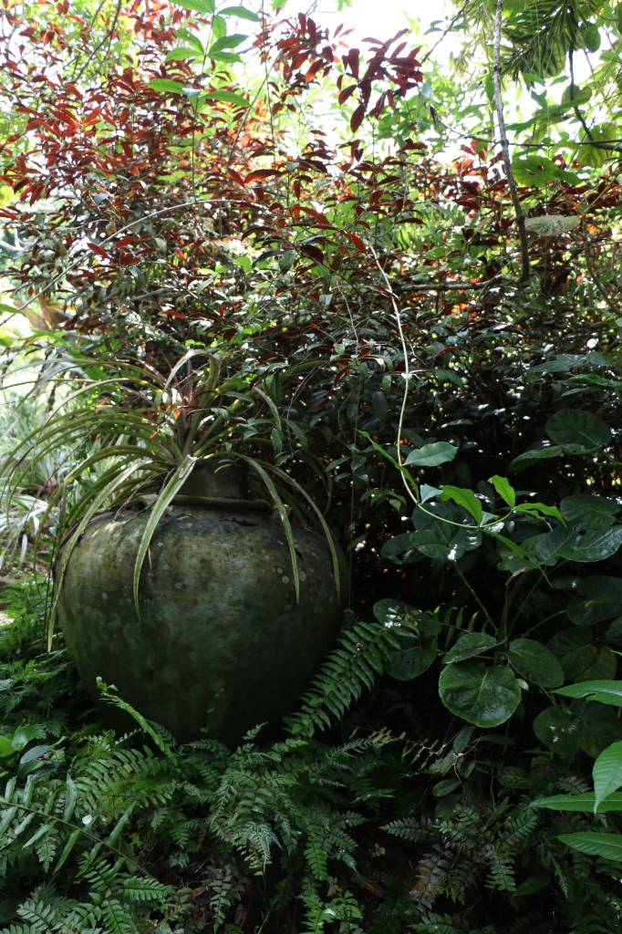 ... flower pots ... 