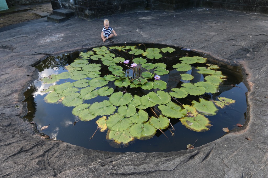Eero having a meditative moment at a pond  inside an old temple complex.